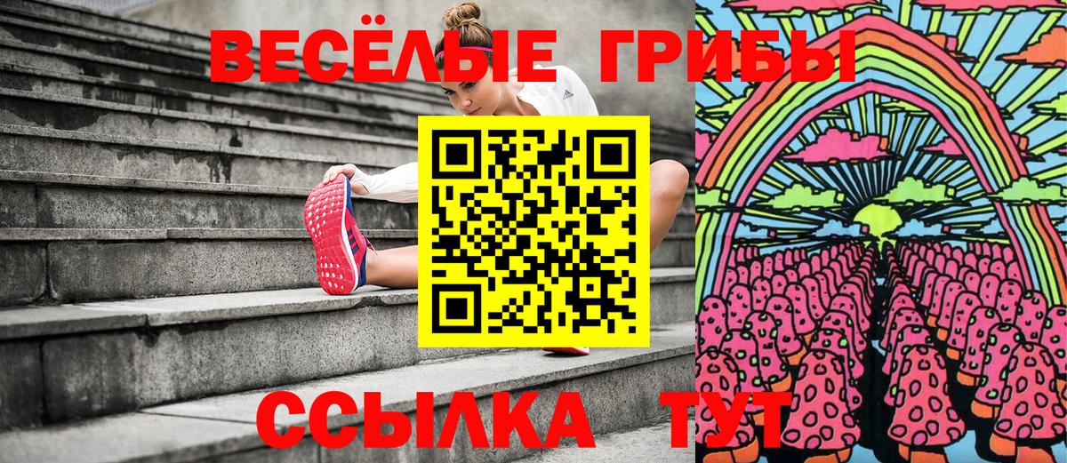 Балахна  Галлюциногенные грибы Psilocybine cubensis  Вход с VPN 